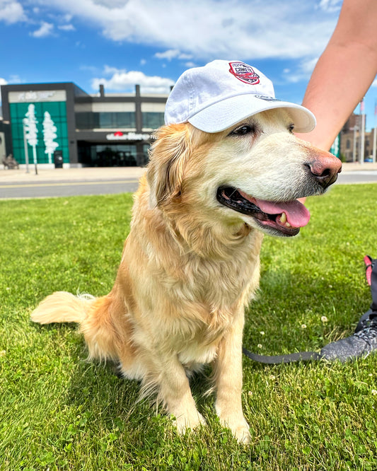 Utica Comets '47 White Hat